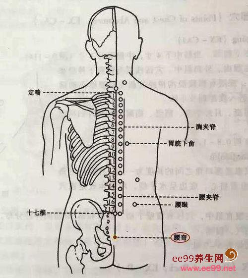 丰隆准确位置图