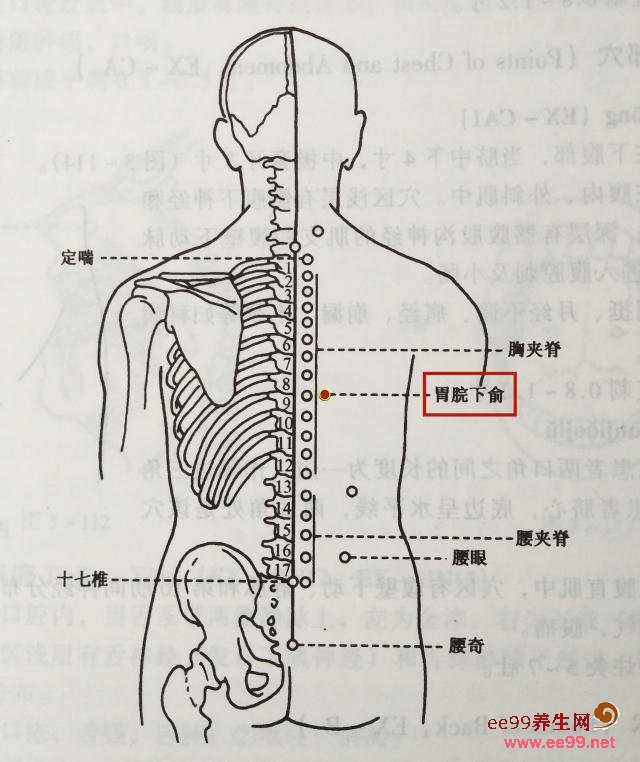 胃脘疼痛的位置图图片