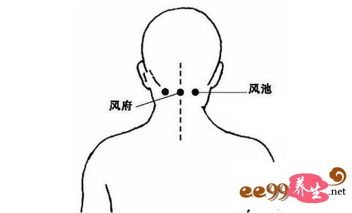 风池的准确位置图