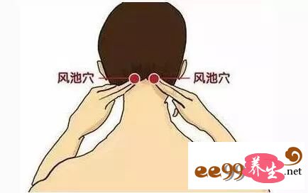 风池的准确位置图