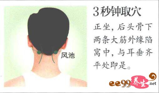 风池的准确位置图