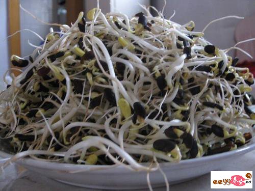 黑豆芽