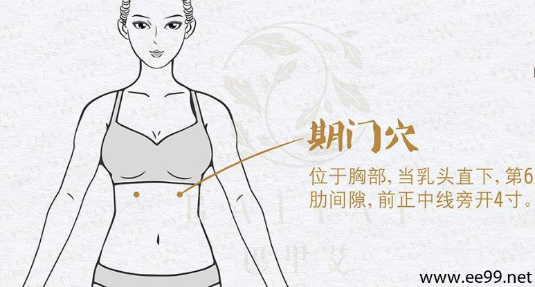 期门穴