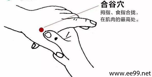 合谷穴
