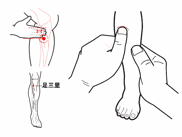 足三里