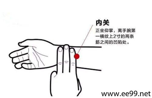内关穴