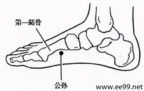 公孙穴