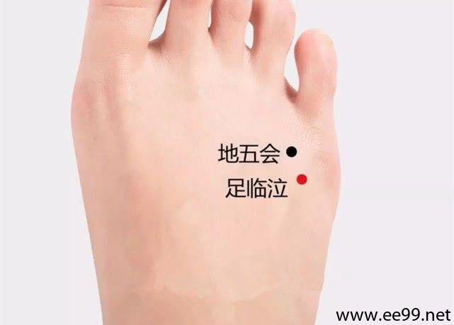 临泣穴