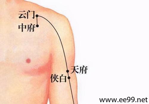 天府穴