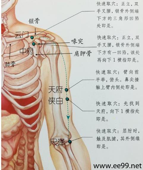 侠白穴