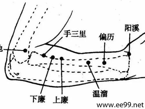 偏历穴的准确位置图