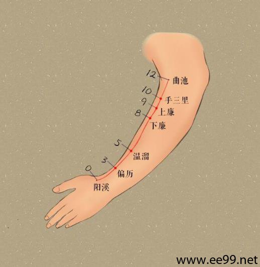 偏历穴的准确位置图
