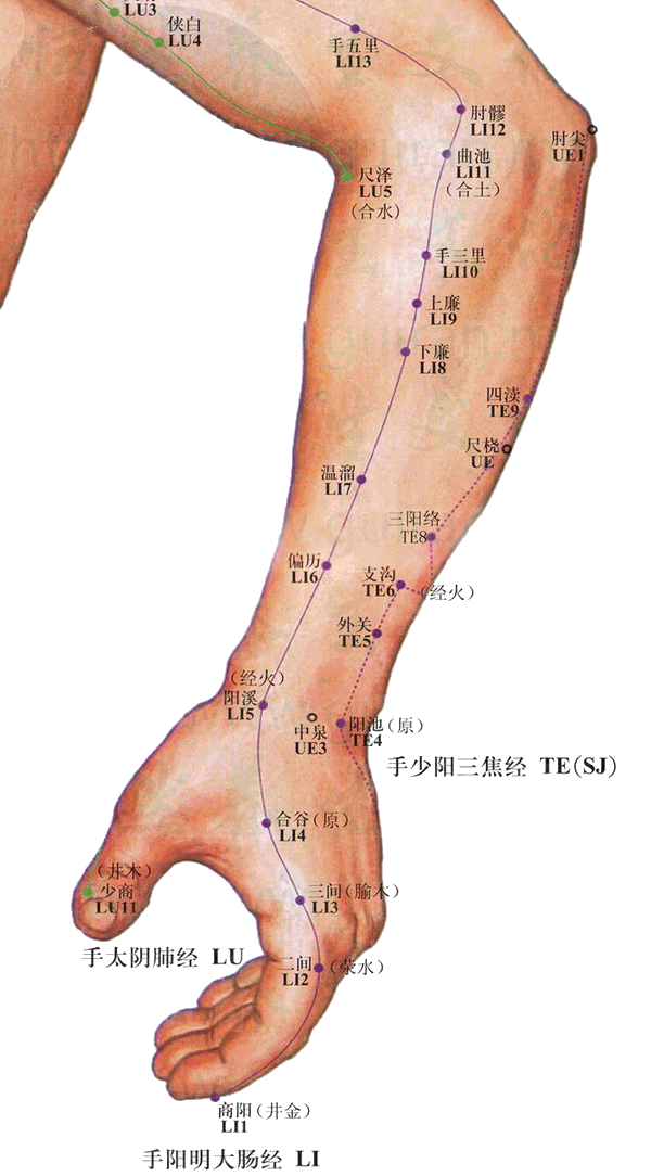 温溜穴动图