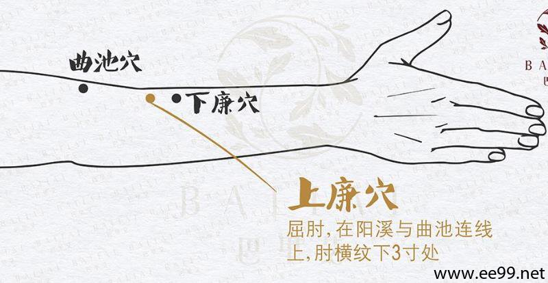 上廉穴的准确位置图