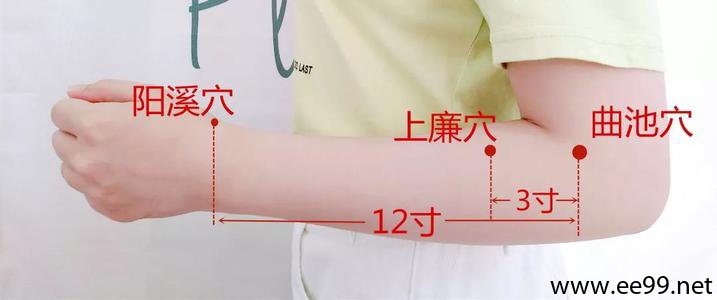 上廉穴的准确位置图