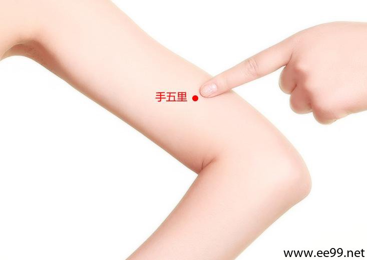 手五里穴