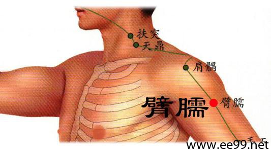 臂臑穴