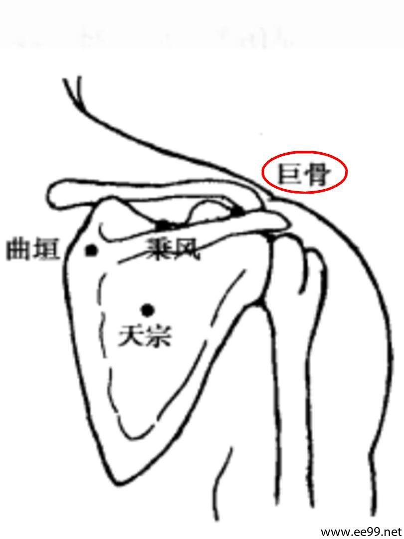 巨骨穴