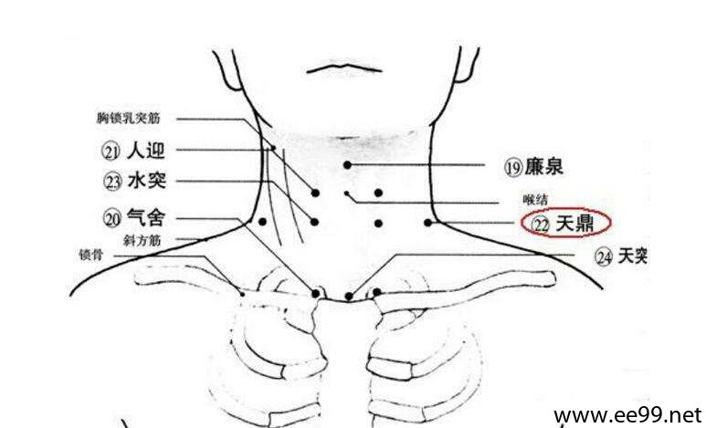天鼎穴