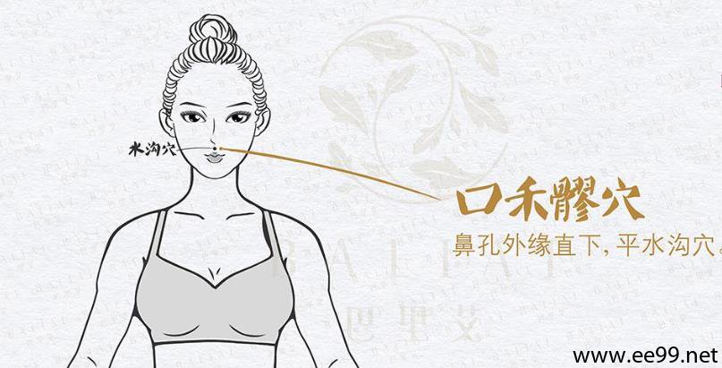 口禾髎穴