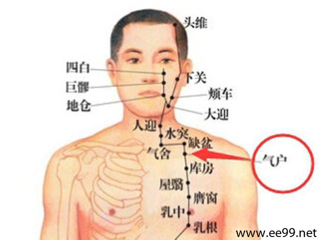 气舍穴的位置解剖分析图