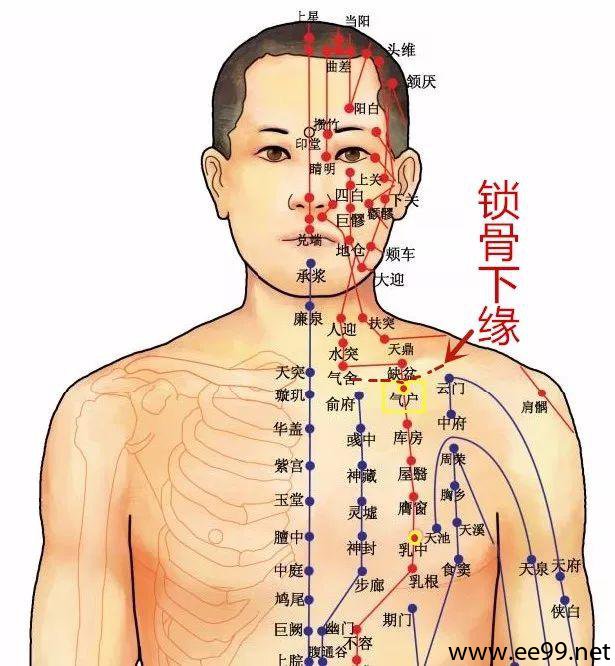 气户穴的位置图