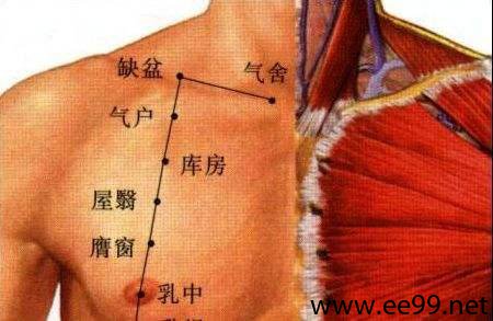 气户穴的位置图