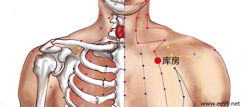 库房穴的准确位置图