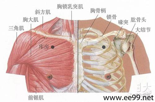 库房穴的准确位置图