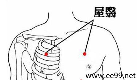 胃经屋翳穴位图