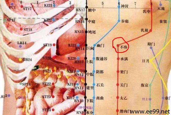 不容穴的准确位置图