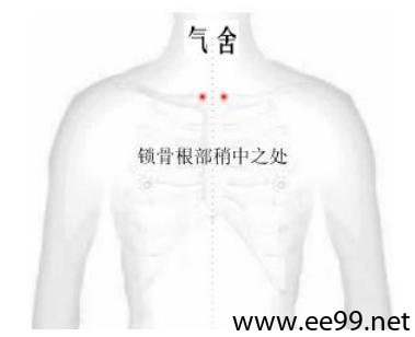 气舍穴的位置解剖分析图