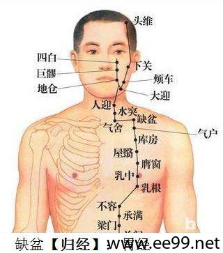 缺盆穴