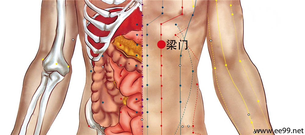 梁门穴的准确位置图
