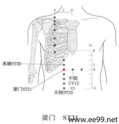 梁门穴位位置图