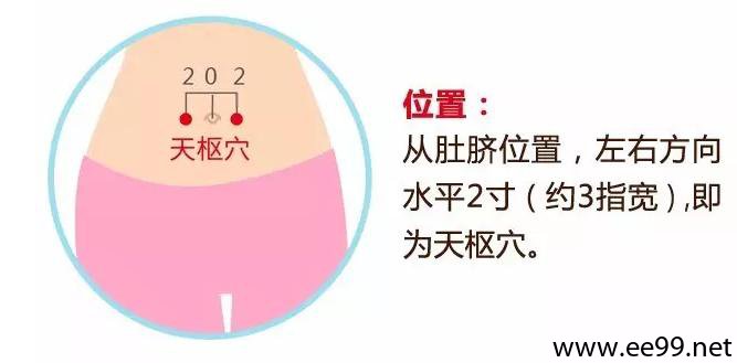 天枢穴的准确位置图