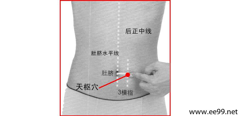 天枢穴的准确位置图