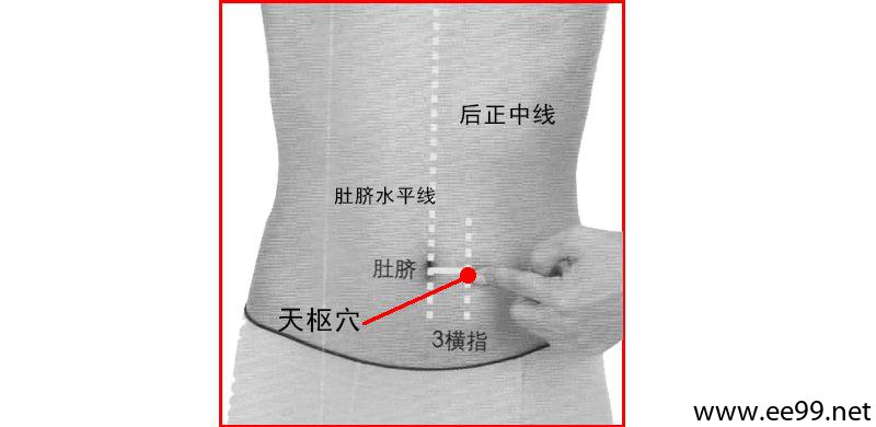 肚子上的学位指寸图图片