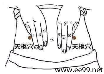 足阳明胃经天枢穴位图