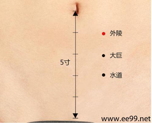 足阳明胃经外陵穴