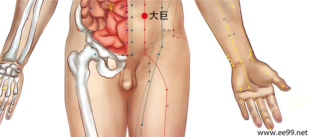大巨穴的准确位置图
