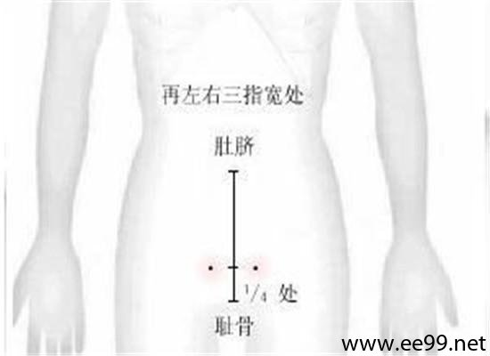 大巨穴位图