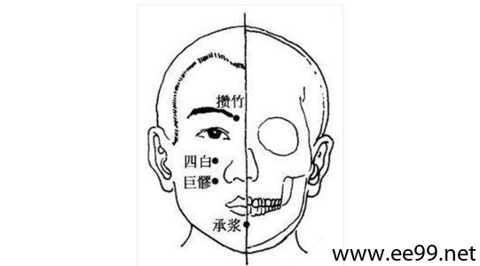 巨髎穴位位置图