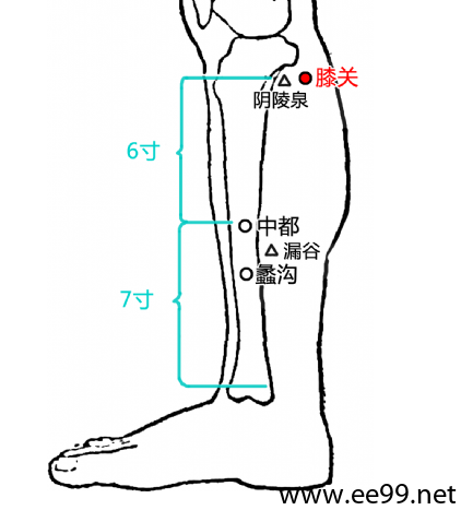髀关穴位图