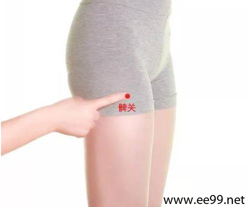 髀关穴位位置图