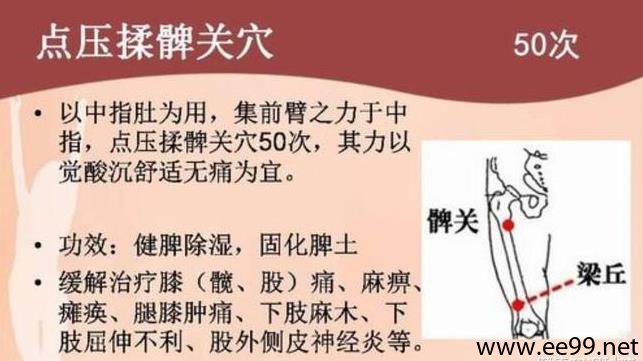 髀关穴位位置图
