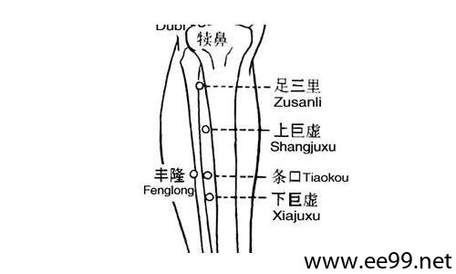 上巨虚穴的准确位置图