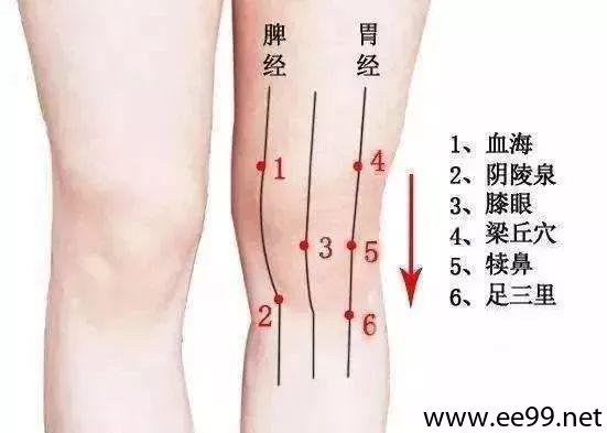 梁丘穴的准确位置图