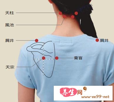 天宗穴