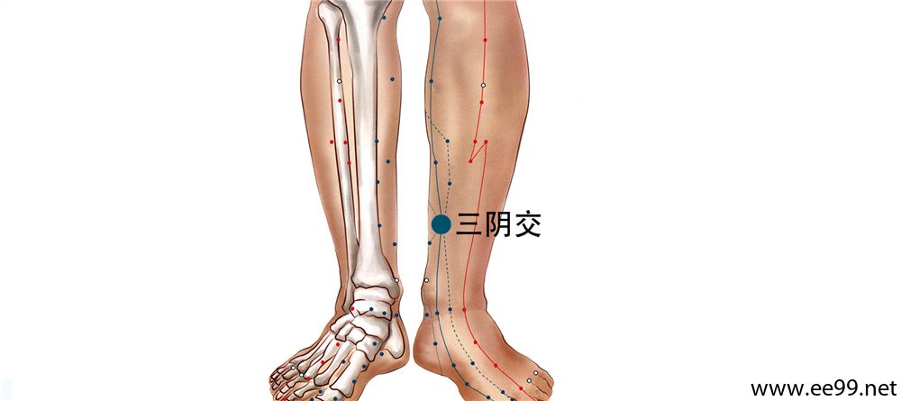 三阴交穴位置图